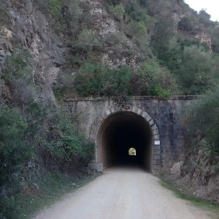 No 31 אולברה