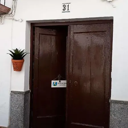 No 31